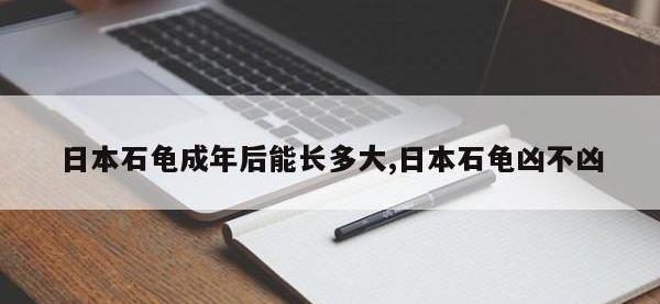 日本石龟成年后能长多大,日本石龟凶不凶